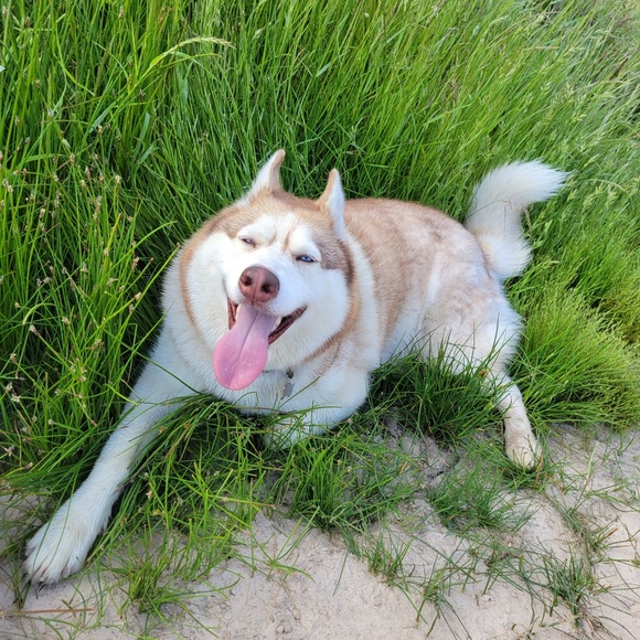 Meet your Poshers, Rob and Aly! - Picture 7 of 7